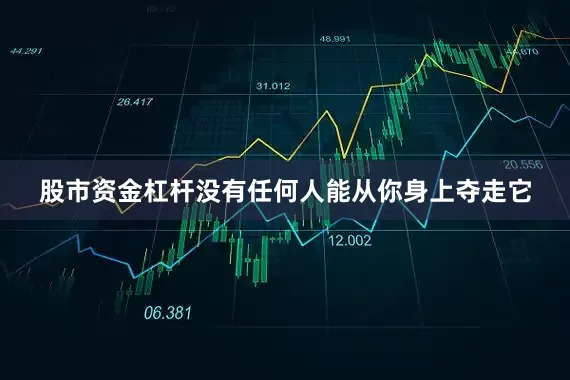 股市资金杠杆没有任何人能从你身上夺走它