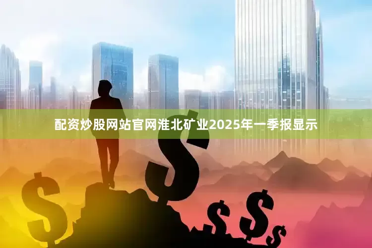 配资炒股网站官网淮北矿业2025年一季报显示