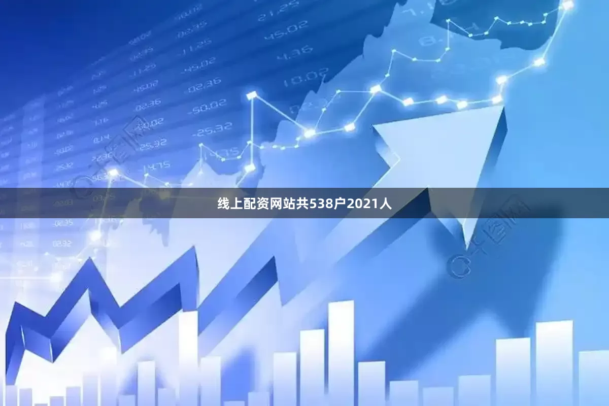 线上配资网站共538户2021人